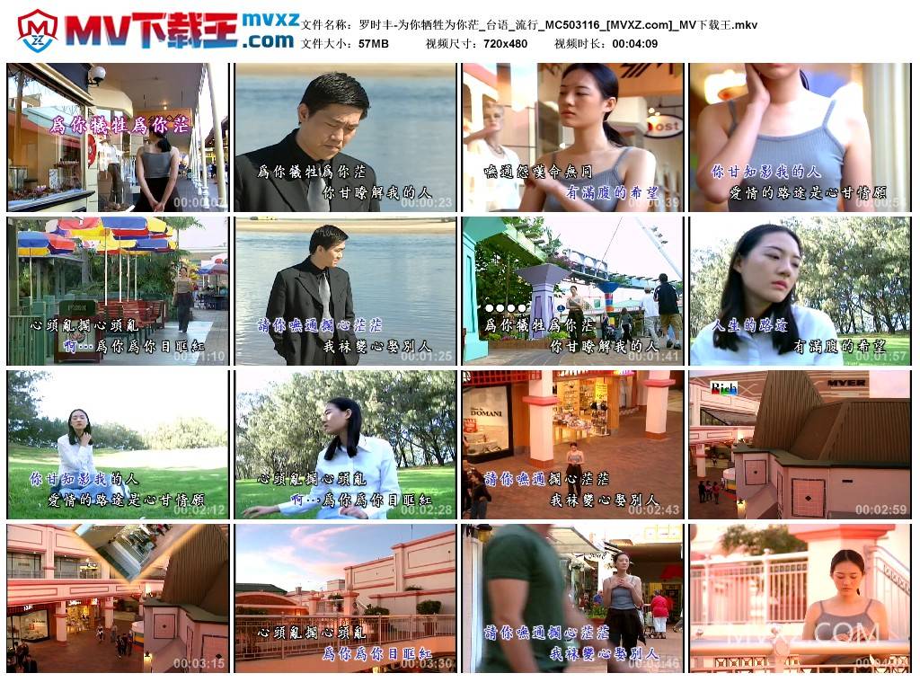 罗时丰-为你牺牲为你茫_台语_流行_MC503116